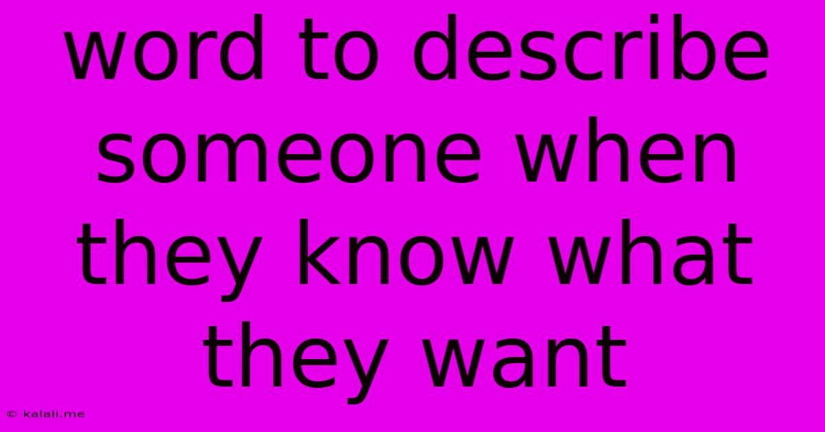 Word To Describe Someone When They Know What They Want