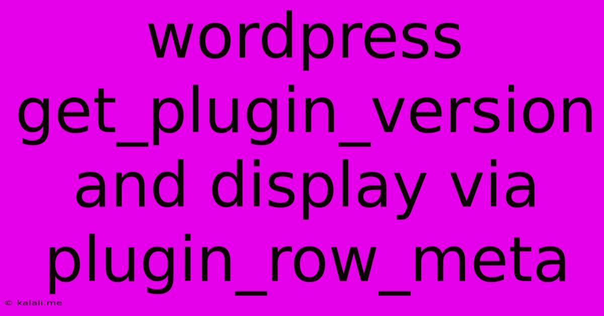 Wordpress Get_plugin_version And Display Via Plugin_row_meta