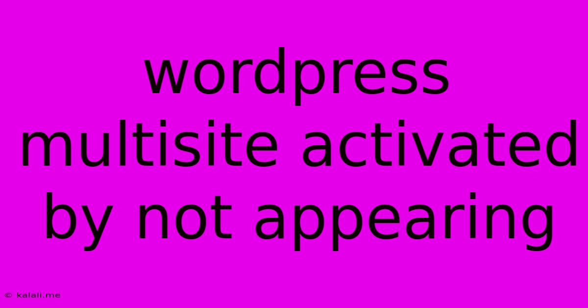 Wordpress Multisite Activated By Not Appearing