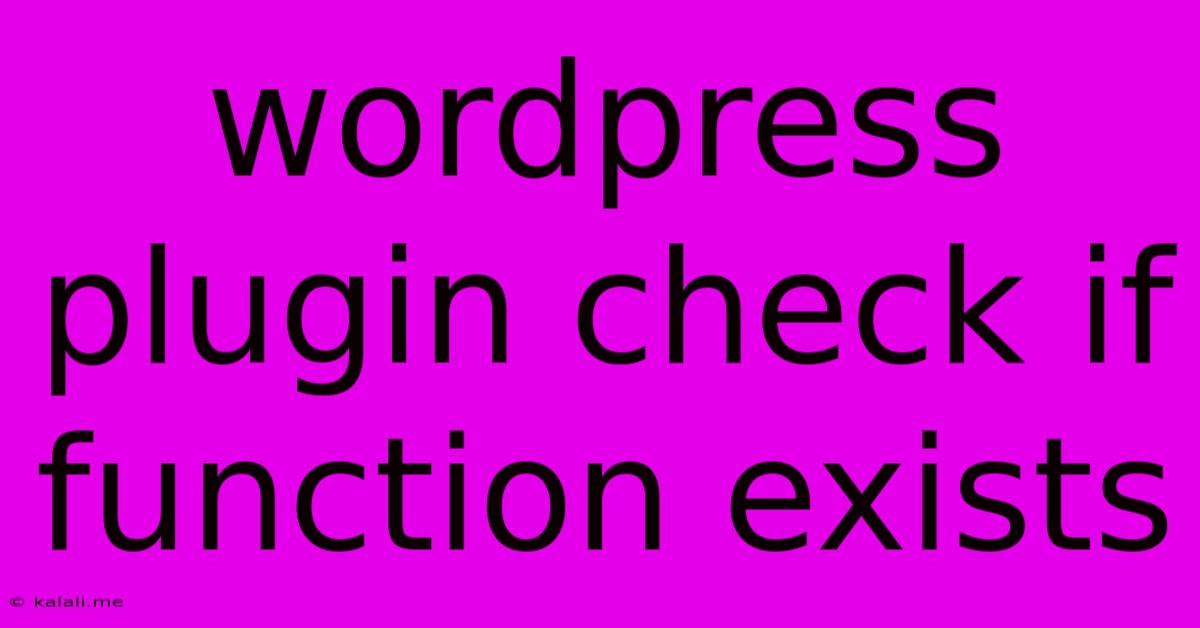 Wordpress Plugin Check If Function Exists