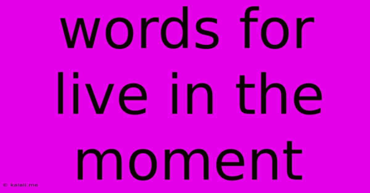 Words For Live In The Moment