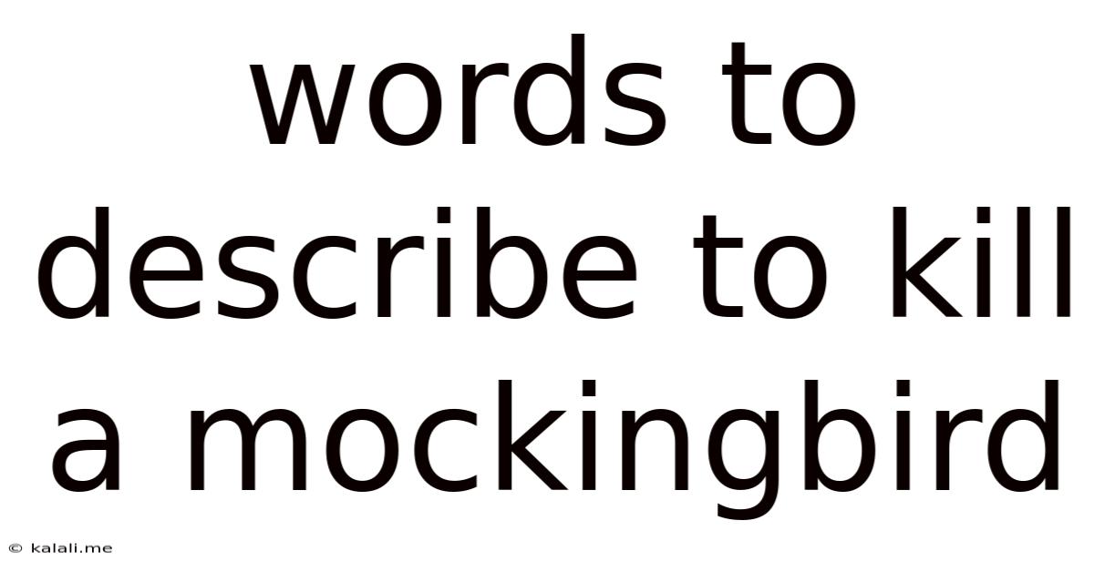 Words To Describe To Kill A Mockingbird