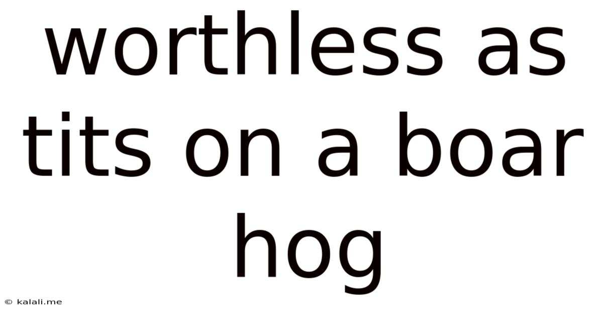 Worthless As Tits On A Boar Hog