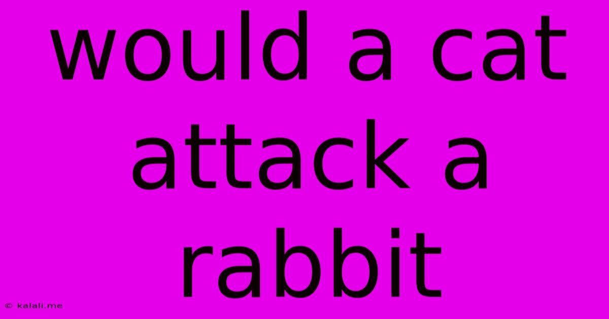 Would A Cat Attack A Rabbit