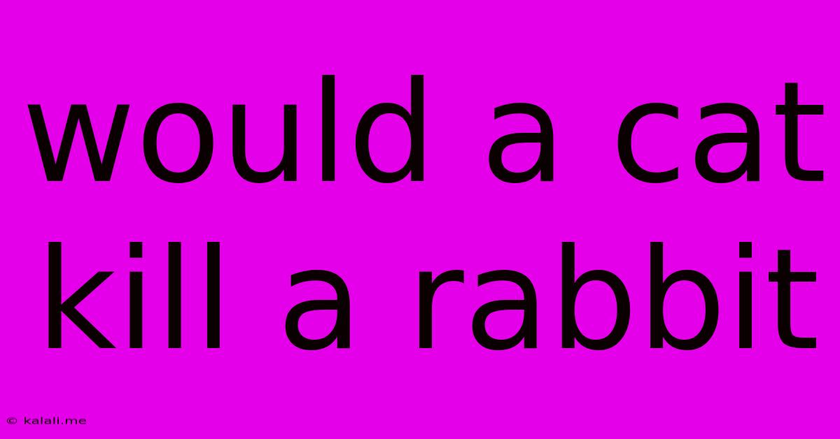 Would A Cat Kill A Rabbit
