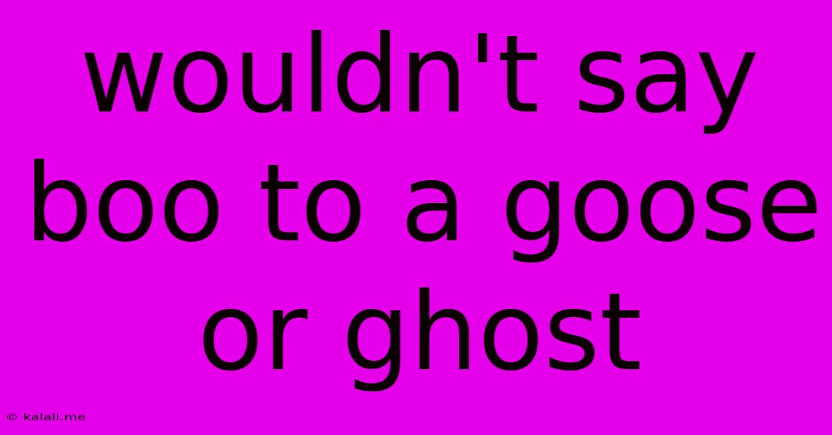 Wouldn't Say Boo To A Goose Or Ghost