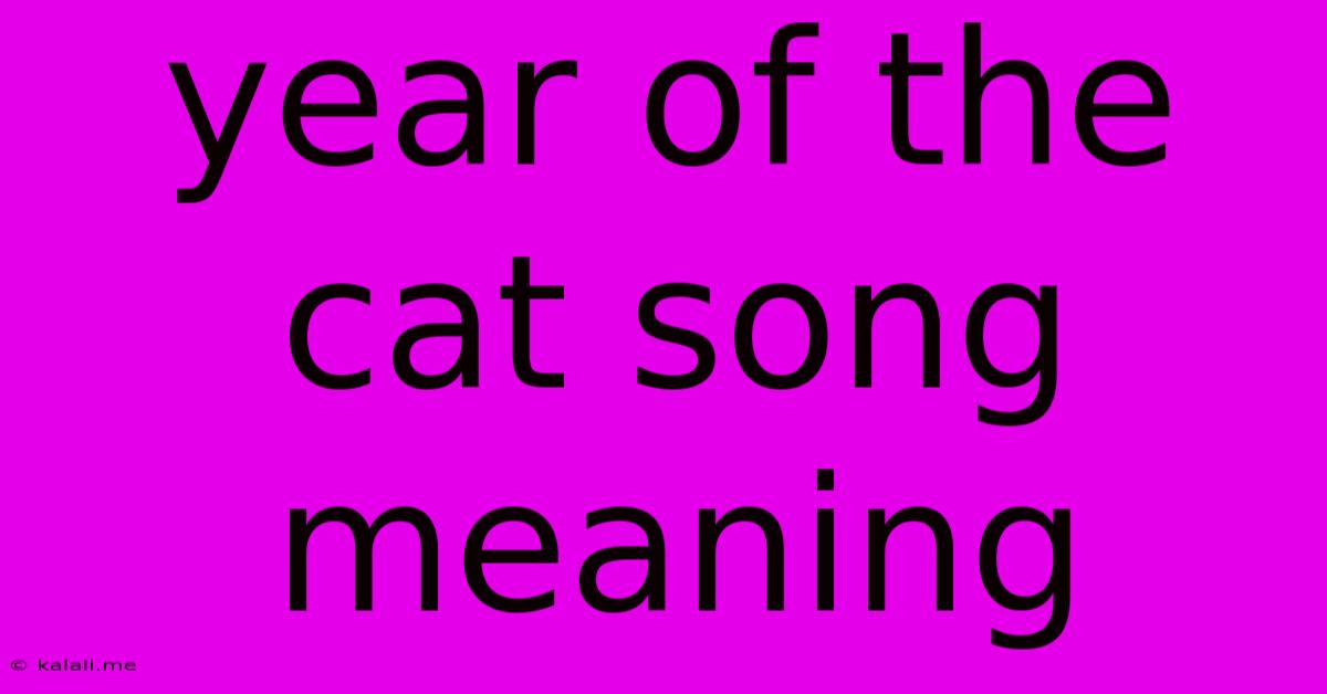 Year Of The Cat Song Meaning