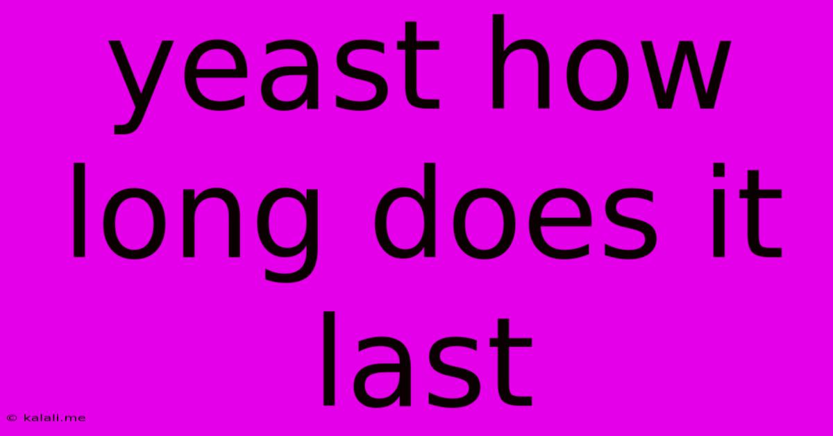 Yeast How Long Does It Last