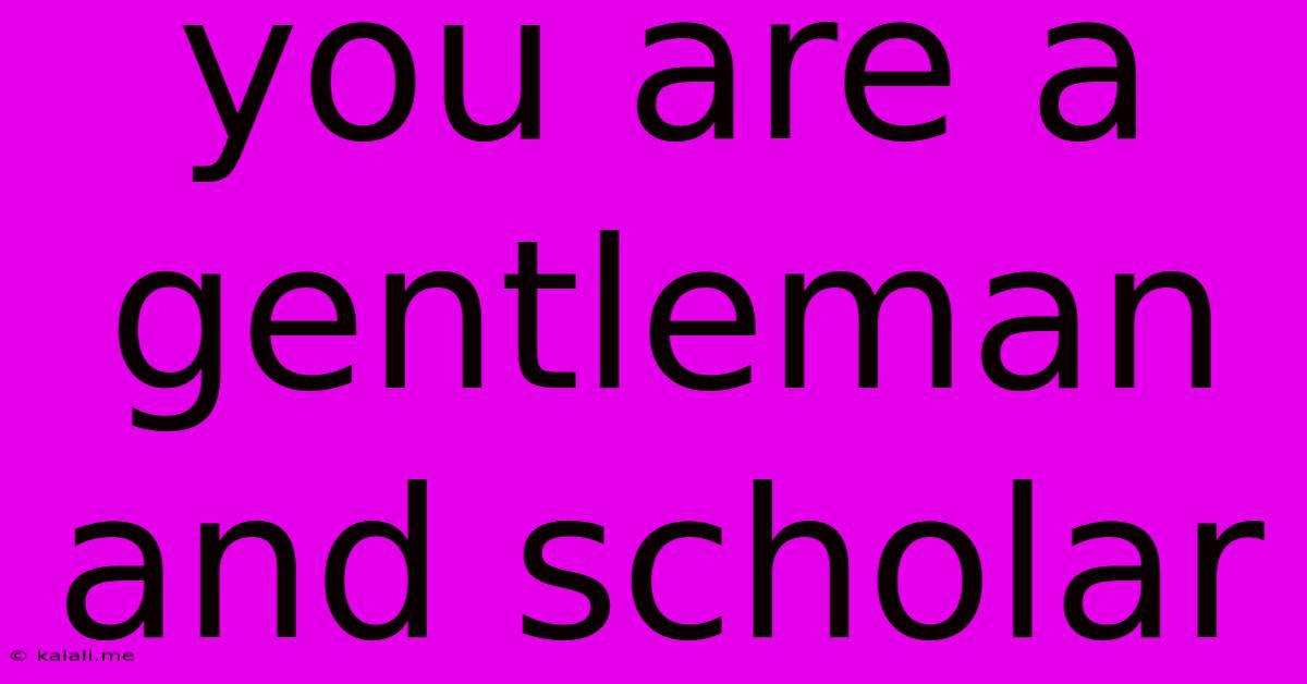 You Are A Gentleman And Scholar