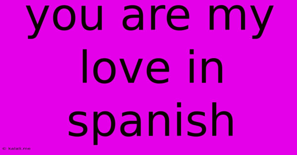 You Are My Love In Spanish