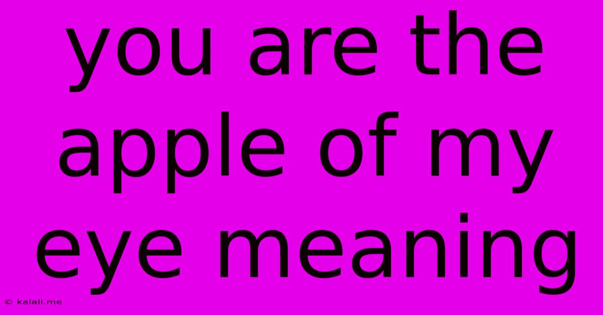 You Are The Apple Of My Eye Meaning