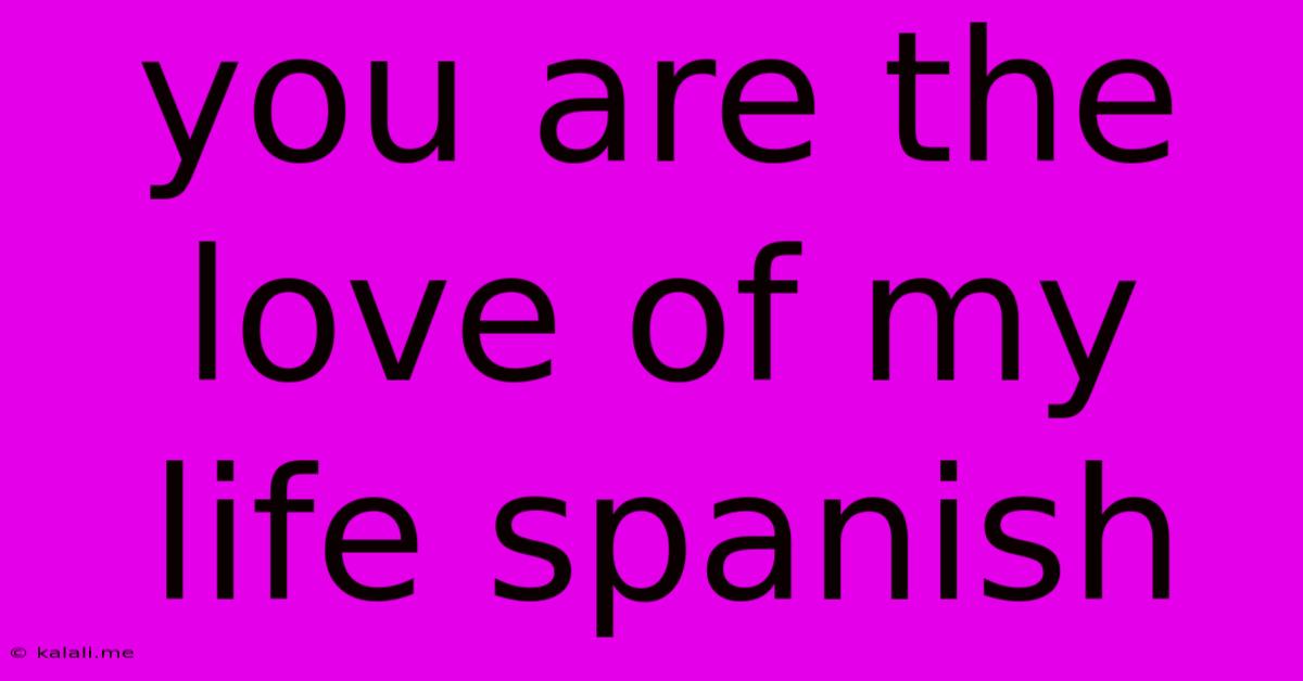 You Are The Love Of My Life Spanish