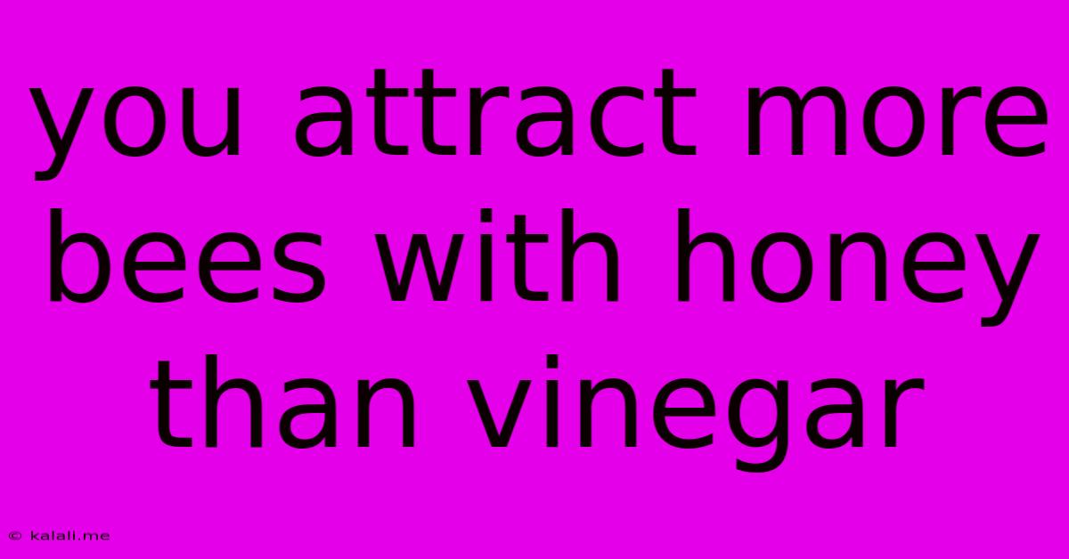 You Attract More Bees With Honey Than Vinegar