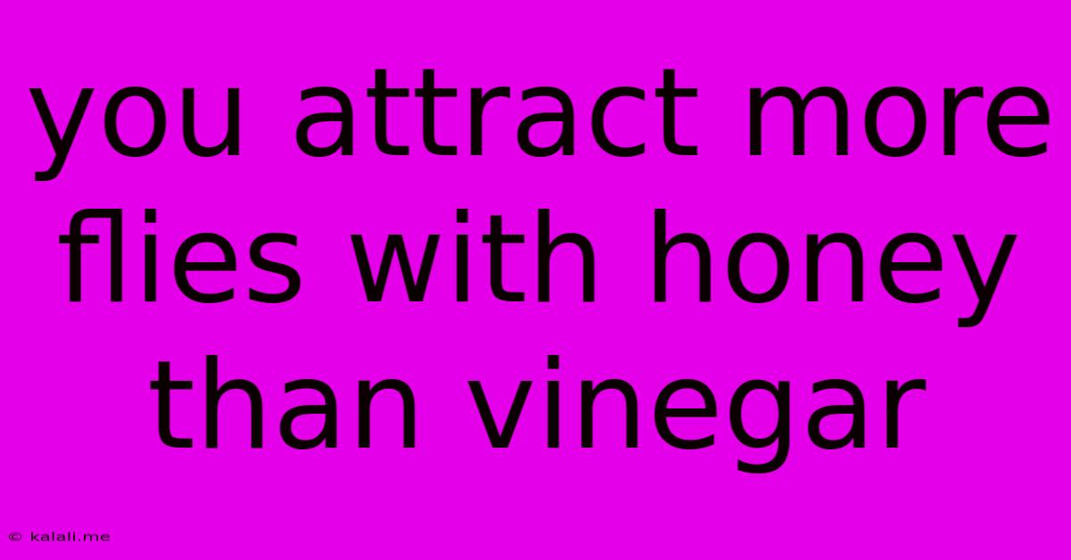 You Attract More Flies With Honey Than Vinegar