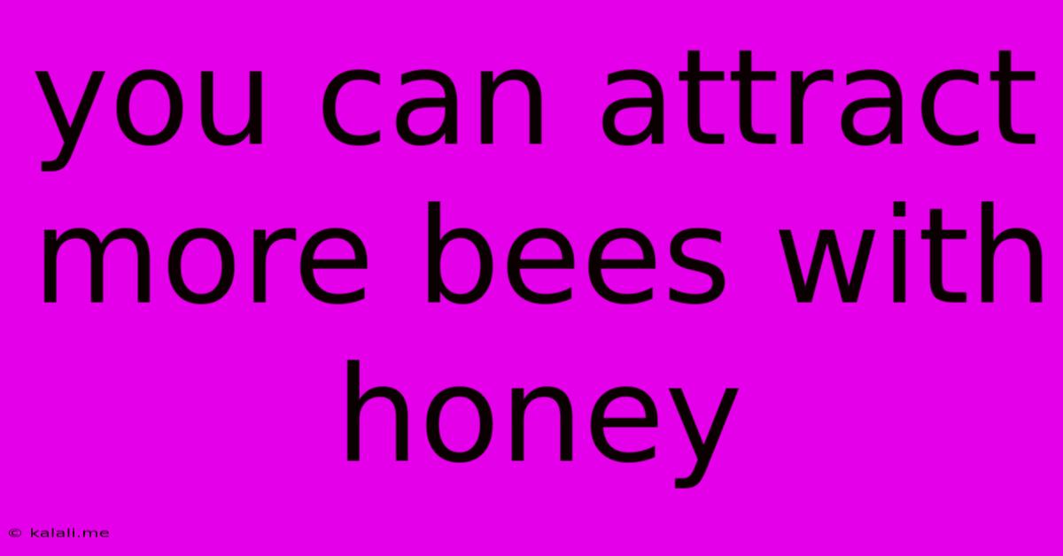 You Can Attract More Bees With Honey