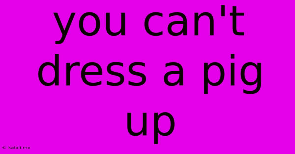 You Can't Dress A Pig Up
