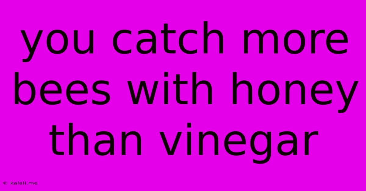 You Catch More Bees With Honey Than Vinegar