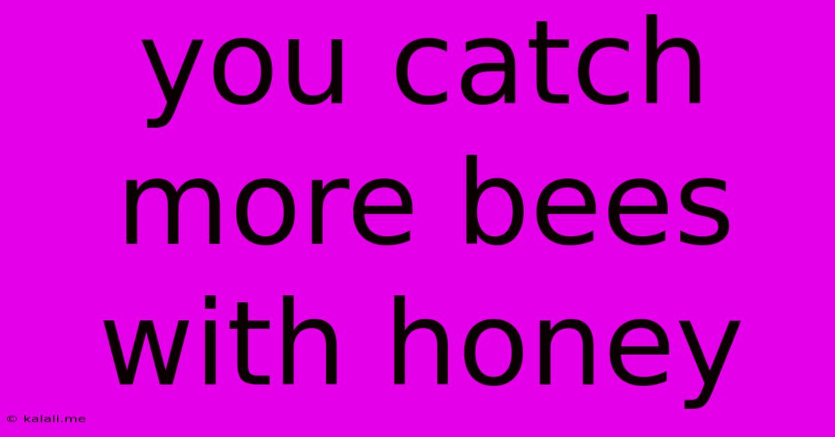 You Catch More Bees With Honey