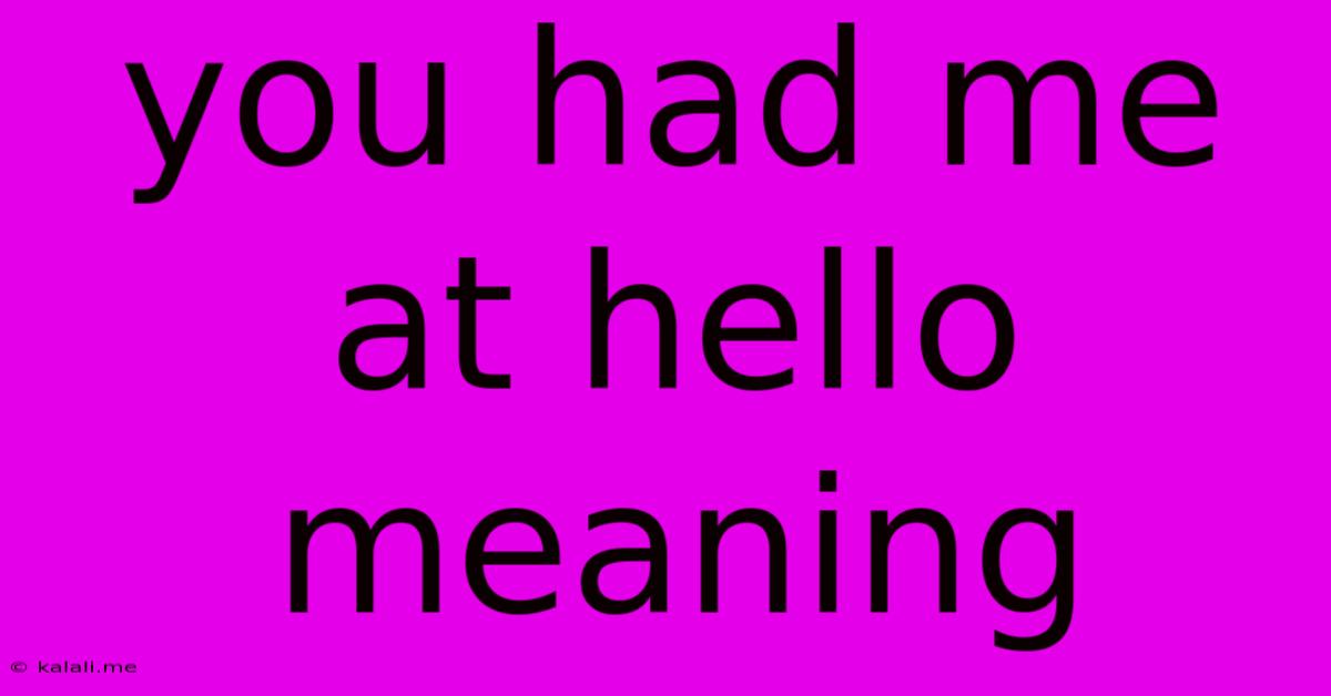 You Had Me At Hello Meaning