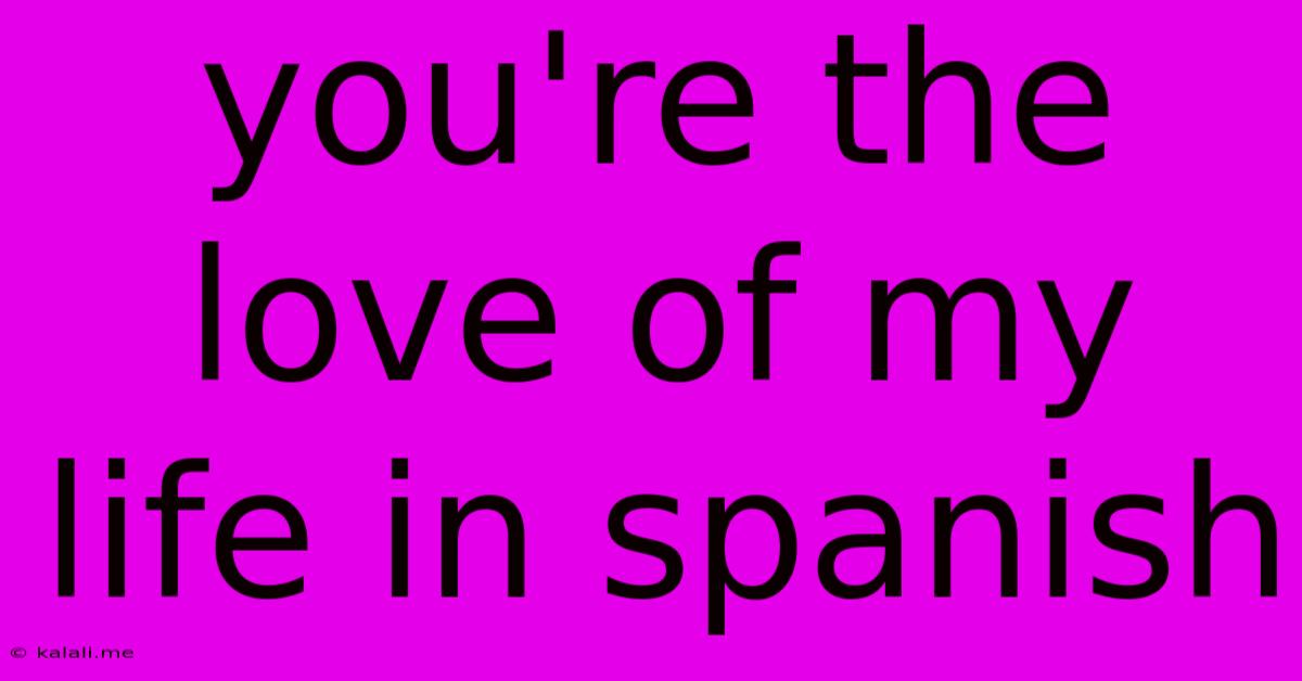 You're The Love Of My Life In Spanish