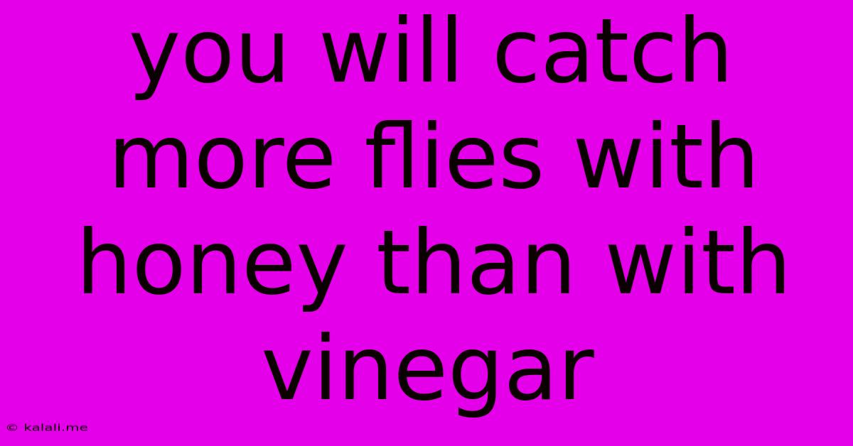 You Will Catch More Flies With Honey Than With Vinegar