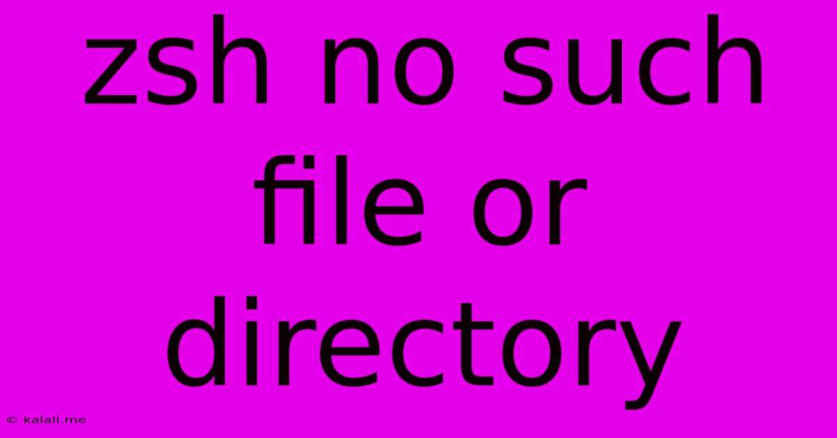 Zsh No Such File Or Directory