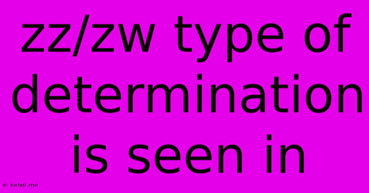 Zz/zw Type Of Determination Is Seen In